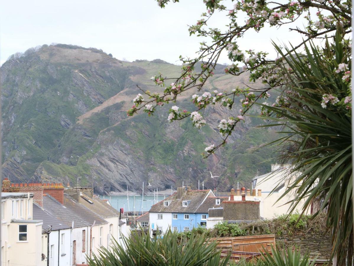 10 Cove View Lejlighed Ilfracombe Eksteriør billede